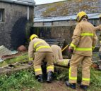 Pics: NIFRS rescues calf from slurry pit in Antrim