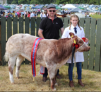 If beef is too dear, consumers will stop buying it – livestock farmer