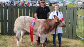 If beef is too dear, consumers will stop buying it – livestock farmer