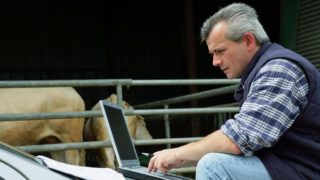Report: 89% of farmers now buying and selling online