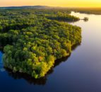 Earth Overshoot Day: Half of earth’s biocapacity used for food production