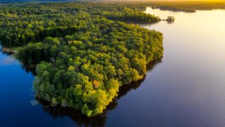 Earth Overshoot Day: Half of earth’s biocapacity used for food production