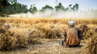 ‘There is money to be made out of hunger’: A look at global food security