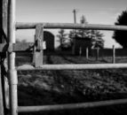 Rural crime: Farmers urged to ‘mark’ property at cross-border event