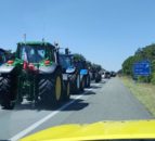 Video: Dutch police fire shots during farmer tractor protest
