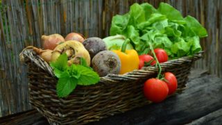 FAO: Food price index falls but still 23% higher than last year