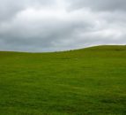 Wales: Sustainable Farming Scheme proposals published