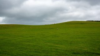 NFU ‘encouraged’ by Defra’s rural proofing report