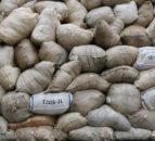 British Wool awarded Isle of Man wool contract
