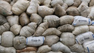 British Wool achieves 88% clearance with prices similar to recent sales
