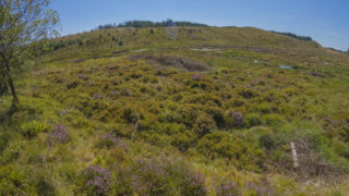Wales to triple peatland restoration targets