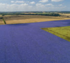 306ac of Grade 1 land on the market in Kent