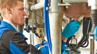 DeLaval breaks ground on rebuild at Hamra Farm