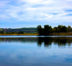 Study: Naturally occurring  lake bacteria can help remove plastic pollution