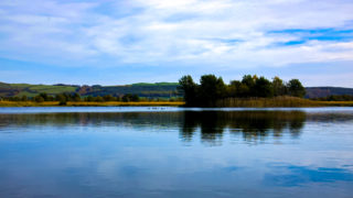 Study: Naturally occurring  lake bacteria can help remove plastic pollution