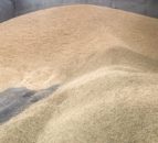 £3m in funding to enable shipments of Ukrainian grain to Nigeria