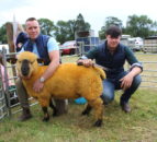 Clogher Valley Show goes from strength to strength