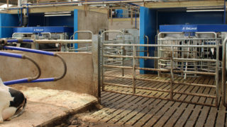 Scottish farm to host open day for dairy robots viewing