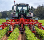 Lemken makes mechanical weed control possible in ridge crops
