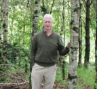 Report: Key role of fast-growing conifers in carbon sequestration
