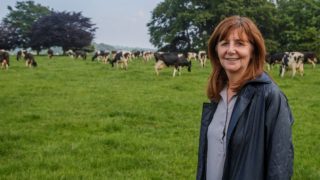Rural Affairs minister to visit Anglesey Show today