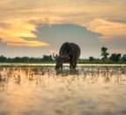Community-led solutions to tackle global food and climate crisis