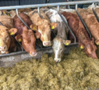 UFU: Sustainability for future of Farm Quality Assurance Scheme