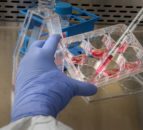 Bimeda expands further with acquisition of Afrivet