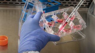 Bimeda expands further with acquisition of Afrivet
