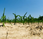 UN: July 2022 was among warmest on record