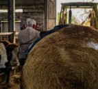 Farmers faced 'unprecedented challenges' in 2023 - NFU president