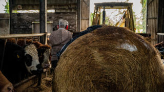 Mental health of farmers comes down to their ‘financial resilience’ – BACP