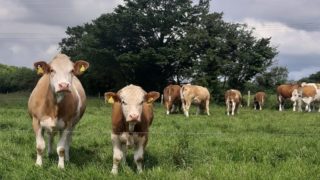 Farm Quality Assurance Standards 2022 officially launched