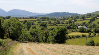 Farmers called on to have their say on the future of forests in Down