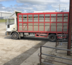 NI lamb exports to ROI running ahead of 2021 levels