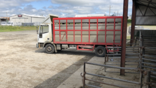 NI lamb exports to ROI running ahead of 2021 levels
