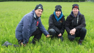 Opinion: ARCZero project – beacon of hope for agriculture in NI