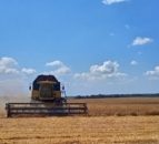 Ukraine: Agri-sector losses estimated to reach €30bn