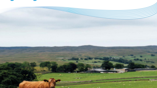New liver fluke manual will help farmers control the disease – AHDB