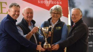 Podehole wins National Beef Shorthorn herd competition