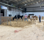 UK Dairy Day: What you need to know