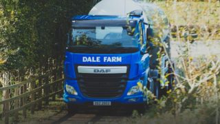 Dale Farm considers ceasing operations at two GB sites