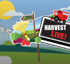 NFU: Over 130,000 school children sign up to harvest festival