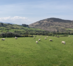 NFU Mutual 2023 Centenary Award for post-grad agri-students now open