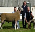 'Strong sales' at NSA Wales & Border ram sale
