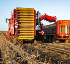 Main crop potato harvest in Northern Ireland well underway