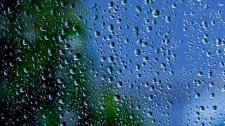 Weekend weather: Mild with rain and some drier conditions
