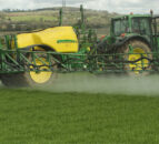 CAFRE: Aphid monitoring and BYDV control