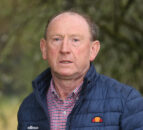 Lamb price falling short of production costs, says UFU
