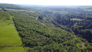 108ac woodland site for sale in west Scotland